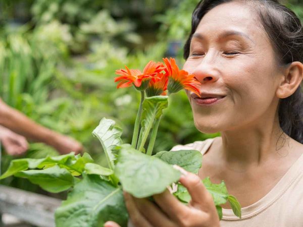 Merawat Tanaman Hias Bisa Bantu Mencegah Osteoporosis?